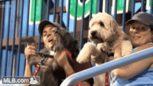 Dogs Fans GIF - Dogs Fans Wave GIFs