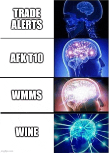 a picture of a brain with the words trade alerts afk t10 wmms wine written on it
