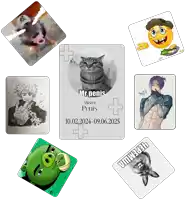 a picture of a cat with mr penis on it