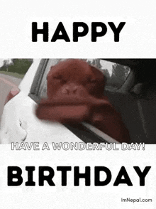 Birthday Wishes Birthday For Dog Lovers GIF