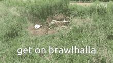 Get On Brawlhalla Colton Brawlhalla GIF - Get On Brawlhalla Brawlhalla Colton Brawlhalla GIFs