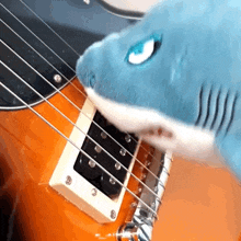 Hungry Shark World Shark Guitar GIF - Hungry Shark World Shark Guitar Hungry Shark GIFs