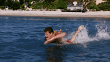 hasselhoff swimming