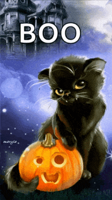 Cat Pumpkin GIF - Cat Pumpkin Fantasy GIFs