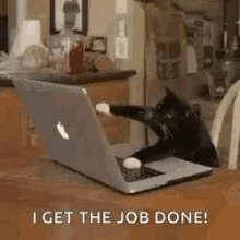 I Get The Job Done Cat GIF - I Get The Job Done Cat Work GIFs