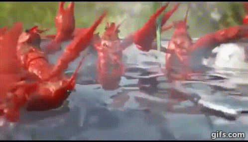 rak gif
