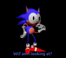 a cartoon of sonic the hedgehog with the words " wtf am i looking at " below him