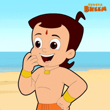a cartoon character named chhota bheem is standing on the beach