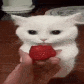 Cat Kitty GIF - Cat Kitty Strawberry GIFs