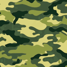 Cunning Foxes Camo Beep GIF - Cunning Foxes Camo Beep GIFs