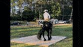 a man in a cowboy hat is riding a horse on a wooden platform in a field .