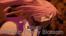 Cherry Blossom Sk8 GIF - Cherry Blossom Sk8 Sh8the Infinity GIFs