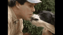 Licking Dog GIF - Licking Dog Gross GIFs