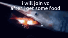 Vc Fish Vc GIF