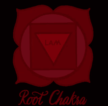 Root Chakra Affirmation Chakra GIF - Root Chakra Affirmation Root Chakra Chakra GIFs