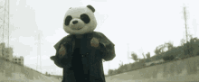 the panda