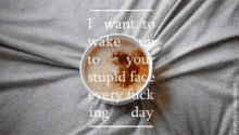 I Want To Wake Up GIF - I Want To Wake Up To Your Stupid Face GIFs