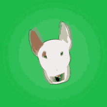 Arlo Arlo The Dog GIF - Arlo Arlo The Dog Bull GIFs