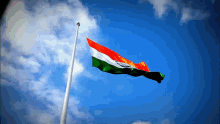 Indian Flag India GIF - Indian Flag India Indian GIFs