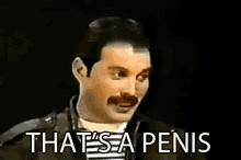 Freddie Mercury GIF - Freddie Mercury Thats A Penis Penis GIFs