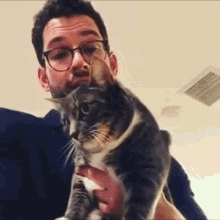 Tom Ellis Kitten GIF - Tom Ellis Kitten Cat GIFs