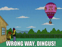 Wrong Way Dingus GIF