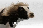 Cow Bulklife GIF - Cow Bulklife Bulk GIFs