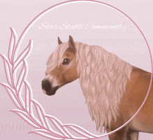 Star Stable Online GIF