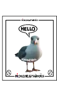 a picture of a seagull with a speech bubble saying hello
