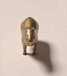 Golden Capybara Speen GIF - Golden Capybara Capybara Speen GIFs