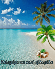 a picture of a tropical beach with a palm tree and two coconuts in the water