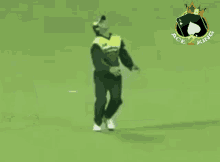 Crickets Ace2king GIF
