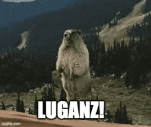 a ground squirrel standing on its hind legs with the words luganz written on the bottom