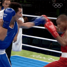 Fighting Robson Conceicao GIF