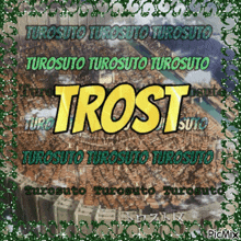 a picture of a city and the word trost