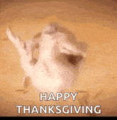 Thanksgiving Party GIF - Thanksgiving Party Celebrate GIFs