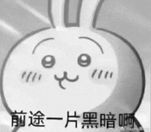 a black and white drawing of a bunny rabbit with chinese writing on it .