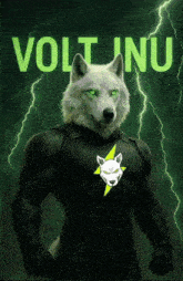 a poster of a wolf in a superhero costume with voltinu written on it