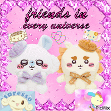 two stuffed animals on a pink background with the words friends in every universe above them