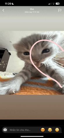 a phone screen shows a picture of a kitten with tho written on the bottom