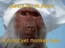 monkeyhour