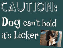 Puppy Licking GIF - Puppy Licking Caution GIFs