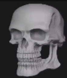 Calaca Insana Skull Insane GIF