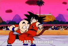 Rule883 Dbz GIF - Rule883 Dbz Dragonball GIFs