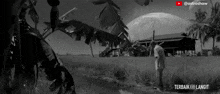 a black and white photo of a man standing in a field with the words terbaik langit on the bottom right