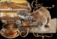 Cat Tea GIF - Cat Tea Good Morning GIFs