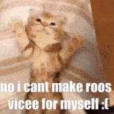 No I Cant Make Roos Vicee For Myself Take Care Of Me GIF - No I Cant Make Roos Vicee For Myself Roos Vicee Take Care Of Me GIFs