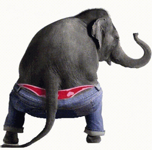 Elephant Dancing GIF - Elephant Dancing Dumbo GIFs