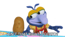 aint that right potato baby gonzo muppet babies isnt that right potato isnt that correct potato