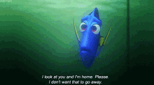 Finding Dory Look At You GIF - Finding Dory Look At You Please GIFs